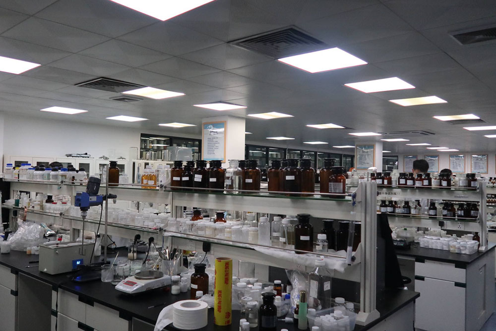 DEVELOPMENT FORMULATION